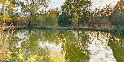 Ingatlanséta - Eladó ingatlan Kecskemét  2646576
