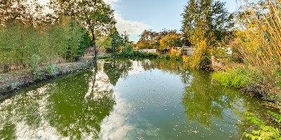 Ingatlanséta - Eladó ingatlan Kecskemét  2646576